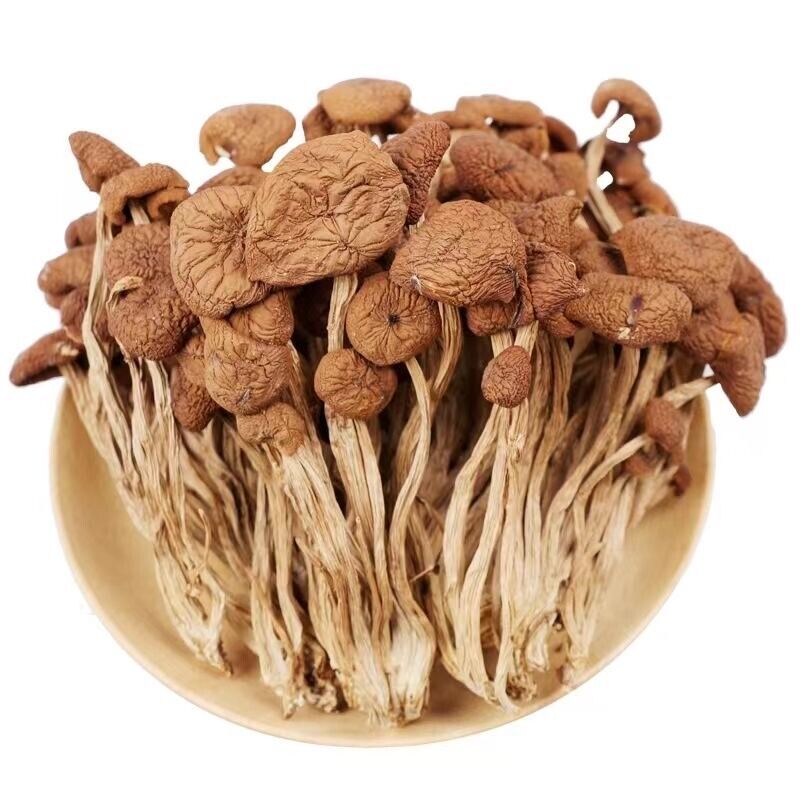 Natural Tea Tree Mushrooms agrocybe cylindracea Dried Mushrooms Kitchen Food 茶树菇