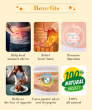 Natural Ulcer Healing Tea Gastric Stomach Pain Bloating Relief Promote Digestion