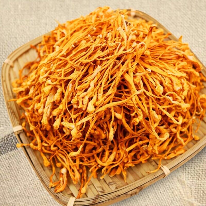 Dried Jin Chong Cao Herb Cordyceps Militaris Cordyceps Flower 虫草花