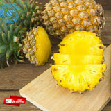 Premium Quality Grade A Pure Natural Organic Pineapple Fruit Fine Powder