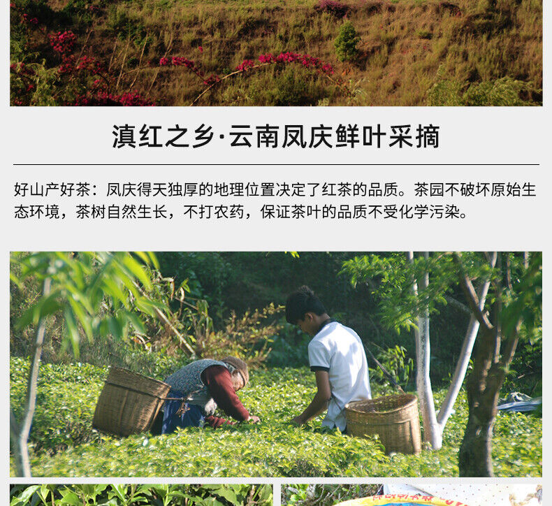 JIN HAO XIANG GUI Yunnan Dianhong Black Tea Dian Hong Gongfu Red Tea 400g/14.1oz