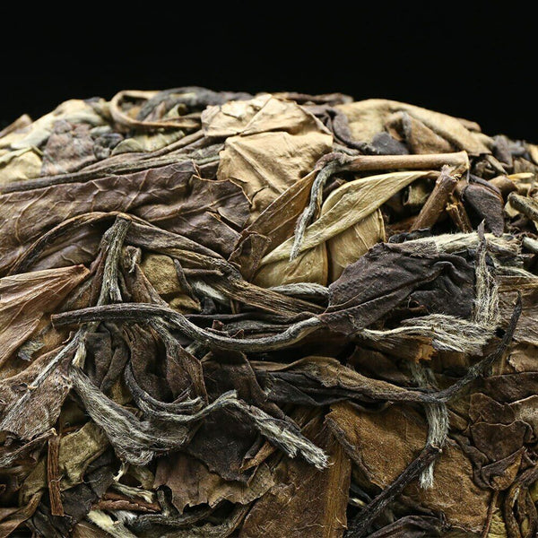 Fuding High Mountain White Tea Gong Mei Tribute Eyebrow 350g