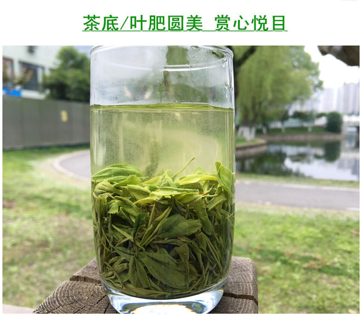 Premium Hubei En Shi Yu Lu Jade Dew Tea EnShi Se-Tea High Mountain Green Tea