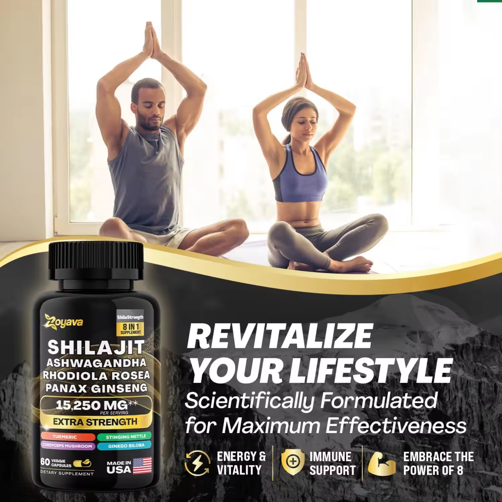 Dynamische Vitalität Bundle Sea Moss Multivitamin für Shilajit Power Combo