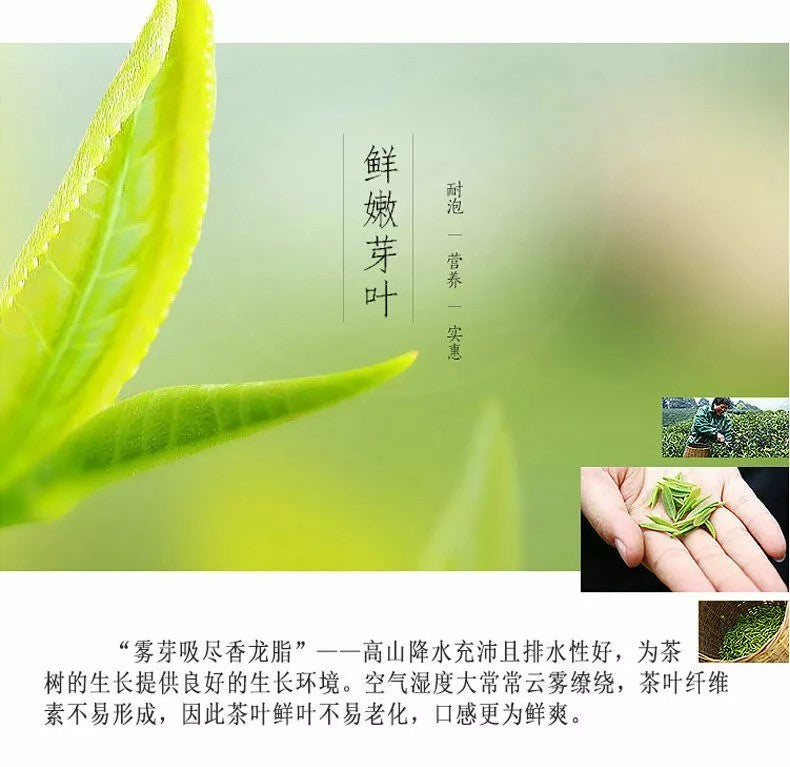 CIFbuy 500g Premium Organic Bai Mu Dan White Peony White Tea Spring Tea Loose Leaf Tea