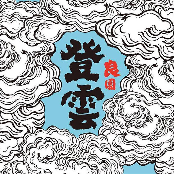 Haiwan Chinese Puer Tea Liang Yuan "Deng Yun" Old Tree Raw Puerh Pu'er 400g