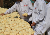 100% bio 500 g de champignons secs à crinière de lion tisane chinoise