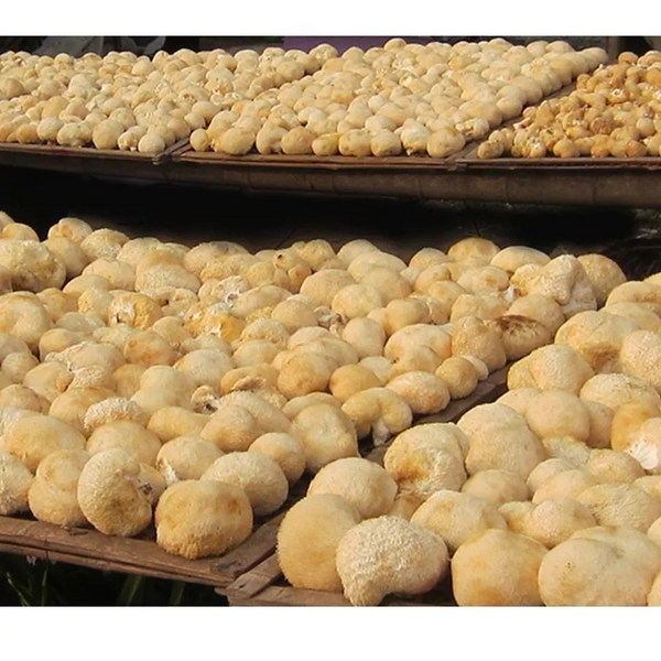100% Organic 500g Dried Lion's Mane Mushroom Chinese Herbs Tea