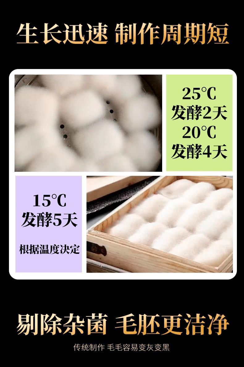 腐乳曲粉霉豆腐菌粉3g*20包 发酵菌曲子毛霉菌毛自制豆腐乳曲粉菌 Curd Cooking Powder Moldy Tofu Powder 3g*20bag