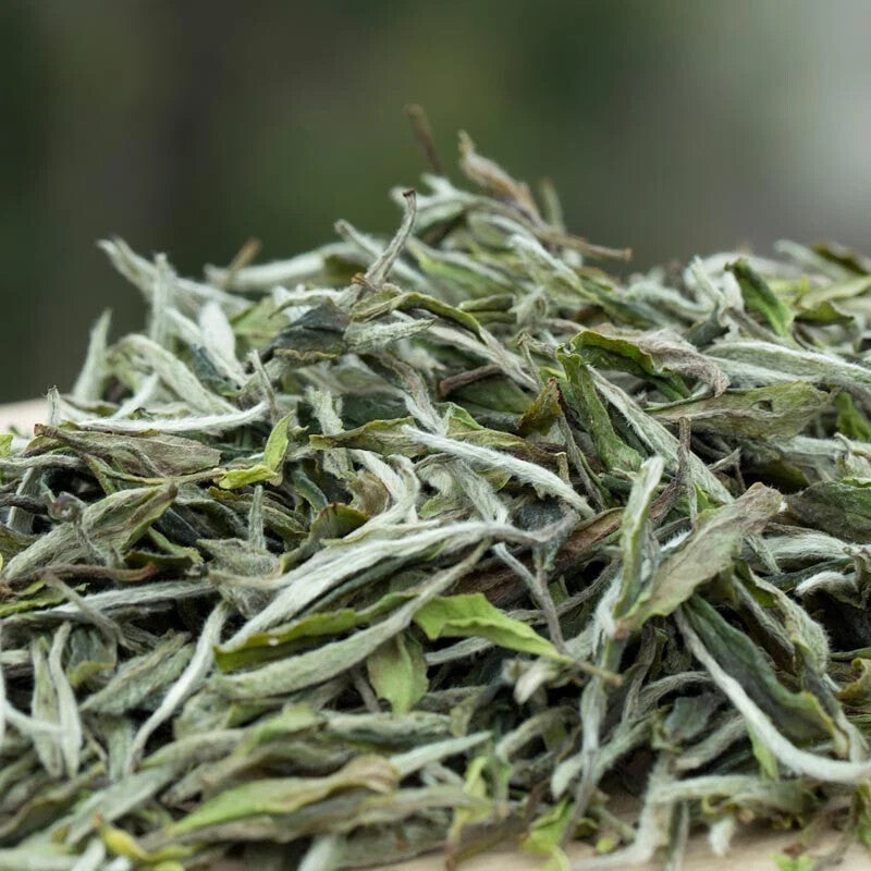 CIFbuy 1000g FuDing High Mountain Bai Mu Dan White Tea Aged White Peony Pai Mu Tan tea