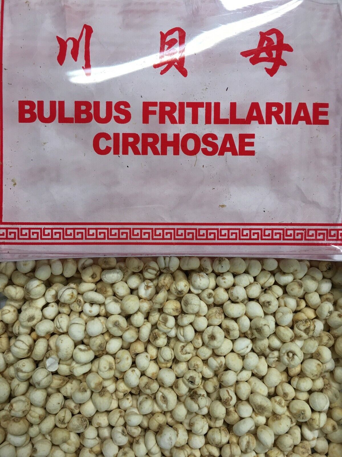 Fritillaria Cirrhosae (Fritillaire fritillaire) - 6 OZ