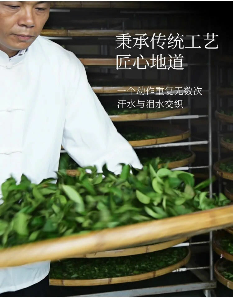 TenFu's TEA You Ran Fujian Tie Guan Yin Tieh Kwan Yin Oolong Tea 100g Tin
