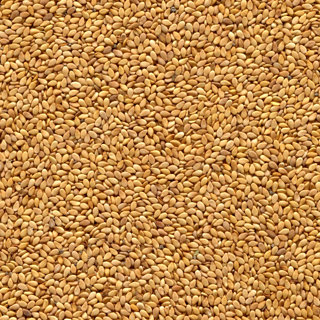 Toasted Sesame Seeds 100% Pure Natural Non-GMO, Kosher, Vegan Bulk