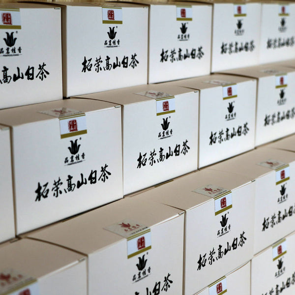 100g White Peony Tea Small Square Brick  Chinese Fuding White Tea