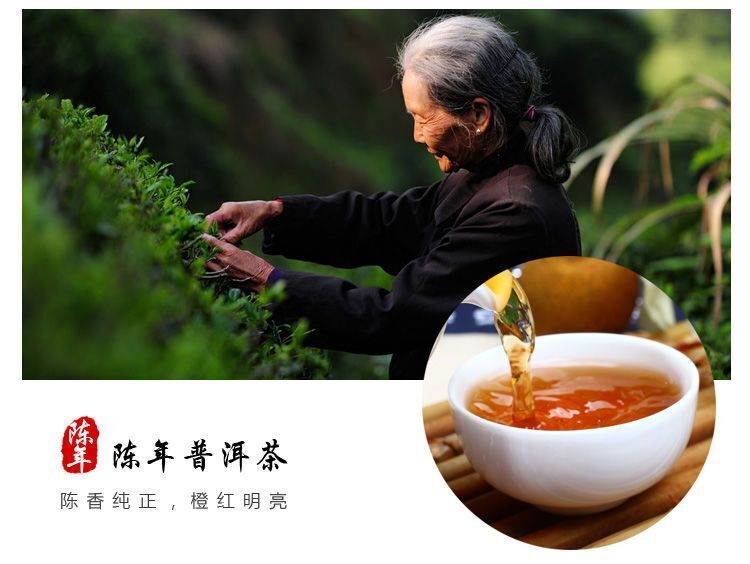 Xinhui Small Green Citrus Pu'er Tea, Dried Tangerine Tea Puer Citrus Flavor 100g