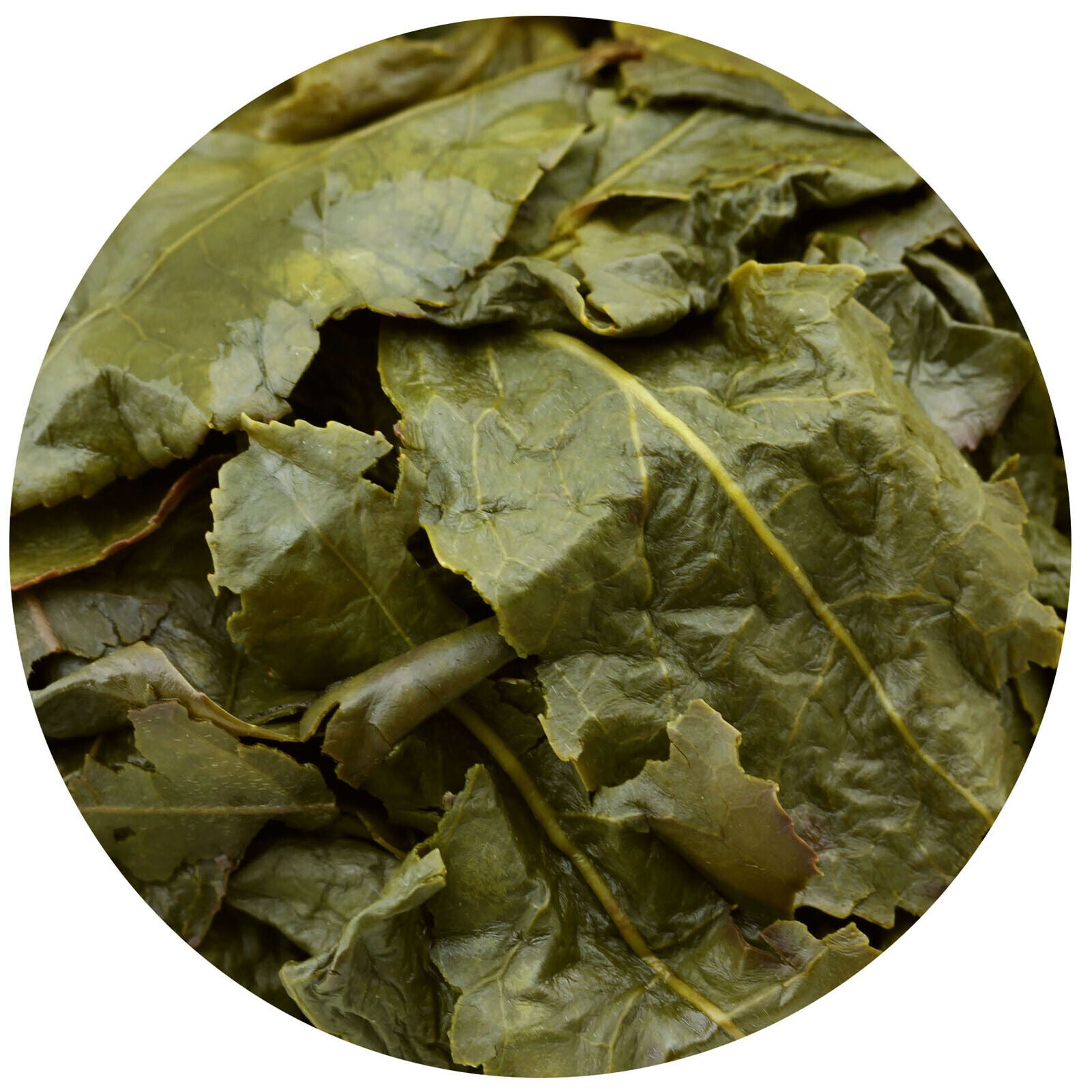 HELLOYOUNG Top Tie Guan Yin Oolong Tea Anxi High Mount. Chinese Iron Goddess