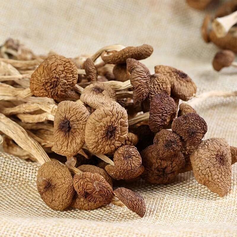Natural Tea Tree Mushrooms agrocybe cylindracea Dried Mushrooms Kitchen Food 茶树菇