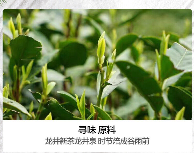 Lion Peak Spring Long Jing Dragon Well Green Tea Xihu Longjing Tea 250g/8.8oz