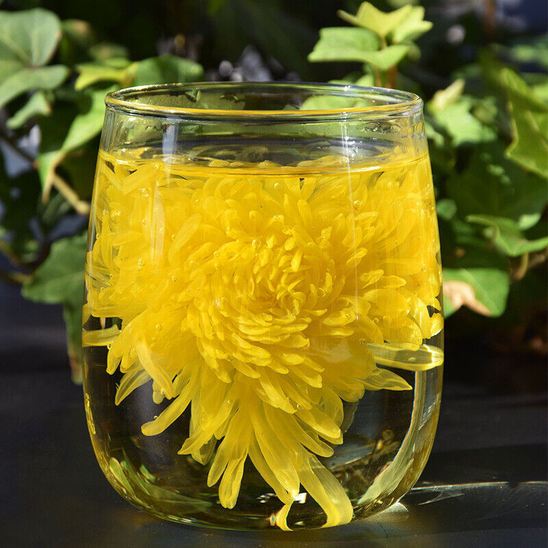 Chinese Chrysanthemum Tea Huangshan Golden Silk Chrysanthemum Blossom Tea 20g
