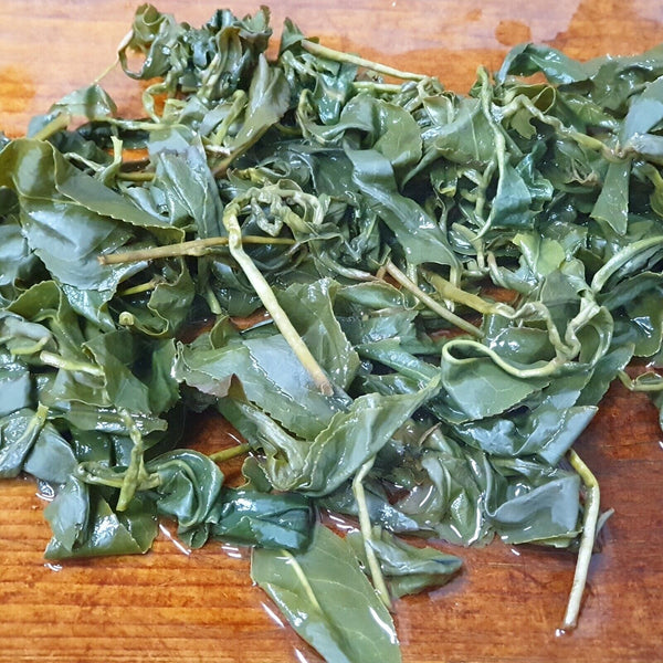 New Winter Tea Alishan Mountain Oolong Tea High Mount Oolong Tea 300g