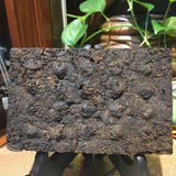 Lao Cha Tou * Menghai Dayi Lao Cha Tou Tea Pu'er Shu Ripe Pu-erh Brick 250g