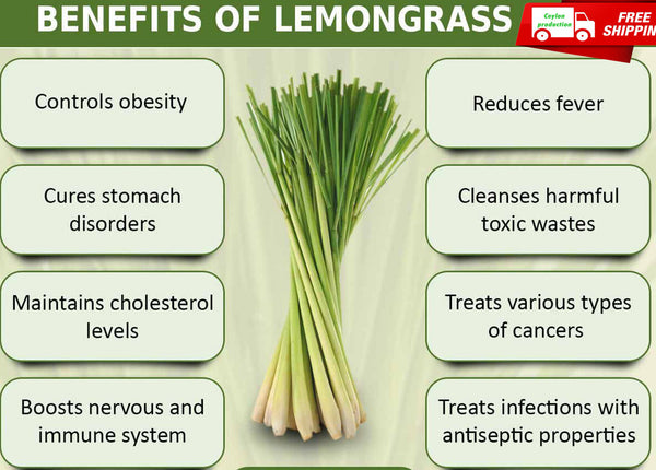 Dried organic Lemongrass leaf slices(2-3cm cut) For Enhance Flavor pure Natural
