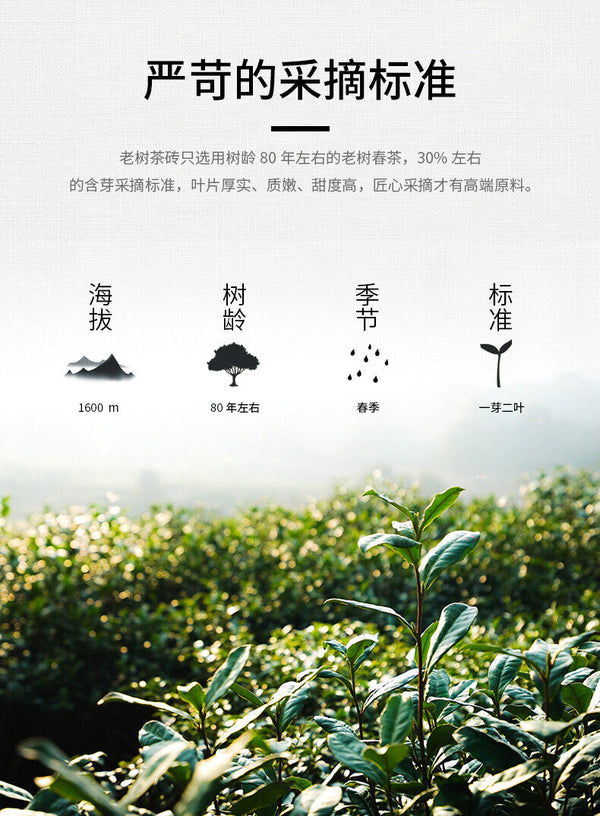 Haiwan Tea Menghai Old Tree Tea Brick Ripe Pu-erh Pu Er Tea 500g Box