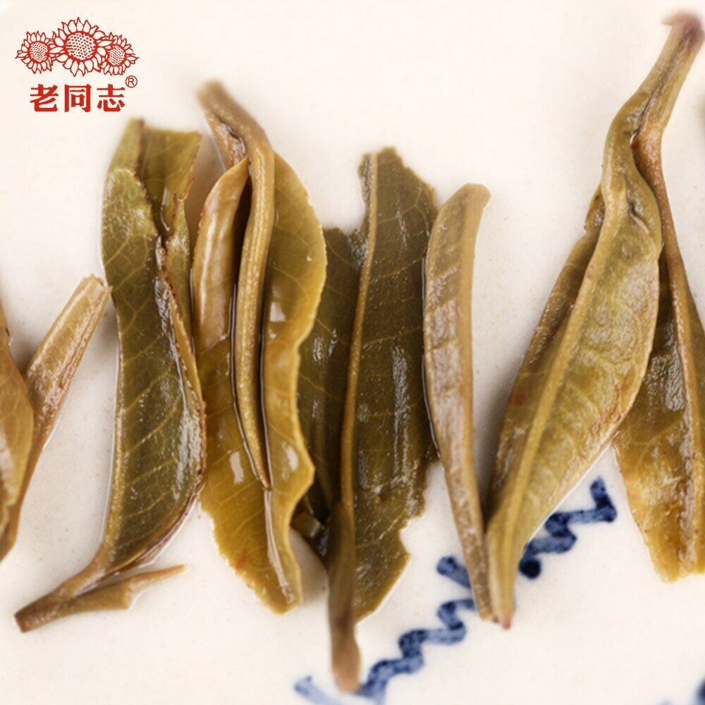 The Gathering of Plant Spirit Top Sheng Puerh Tea 400g Raw Puer Tea Cake Haiwan