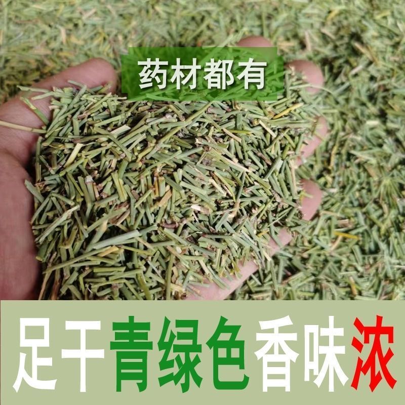 500 Pure Herbal china Green Tea Wild Tea Health Herbs Huang Tea Loose weight Secondary image