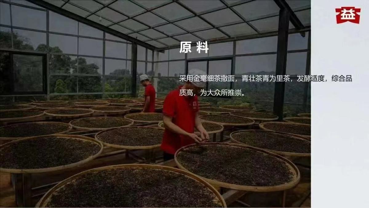 7572 Menghai Dayi Puer Tea Cake TAETEA Pu-erh China Yunnan Pu'er 357g Ripe