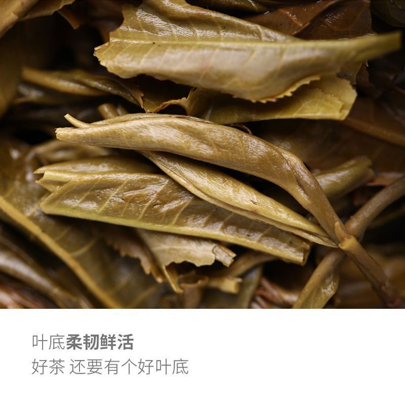 Remote Mountain Ancient Tree Haiwan Old Comrade Batch 191 Raw Puer Tea 500g