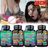 Multivitamin & Shilajit Power Combo Dynamic Vitality Bundle Sea Moss