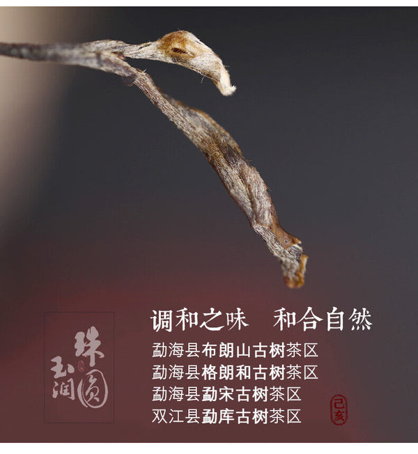 HAIWAN Brand Old Comrade Zhu Yuan Yu Run Pu-erh Tea Cake  400g Raw Puer