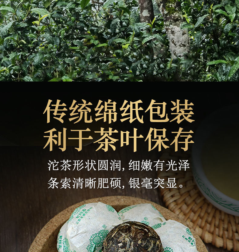 HAIWAN Old Comrade Qiao Mu Tuo Pu-erh Tea Tuo Raw Puer Mini Lao Tong Zhi
