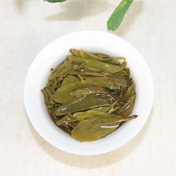 Big Snow Mountain Big Tree Pure Material * Yunnan Puer Pu'er Tea Raw 357g