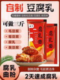 腐乳曲粉霉豆腐菌粉5g*10包 发酵菌曲子毛霉菌毛自制豆腐乳曲粉菌 Curd Cooking Powder Moldy Tofu Powder 5g*10bag