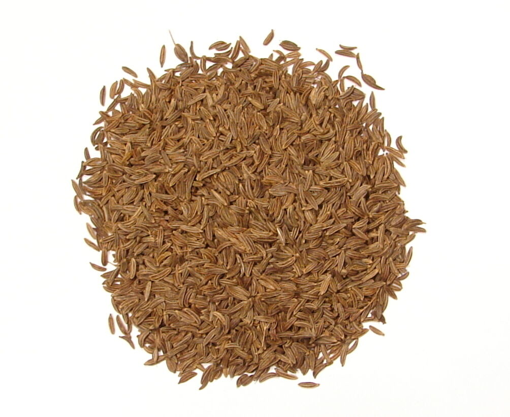 Whole Caraway Seeds - 1 lb - Dried Bulk "Rye" Spice Main image