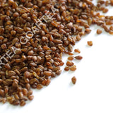 HELLOYOUNG Premium Roasted Tartary Buckwheat Grain Tea Black Herbal Caffeine