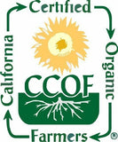 Kale Powder Organic 100% Pure 1.1 lb. Non Gmo Superfood Organic Kale