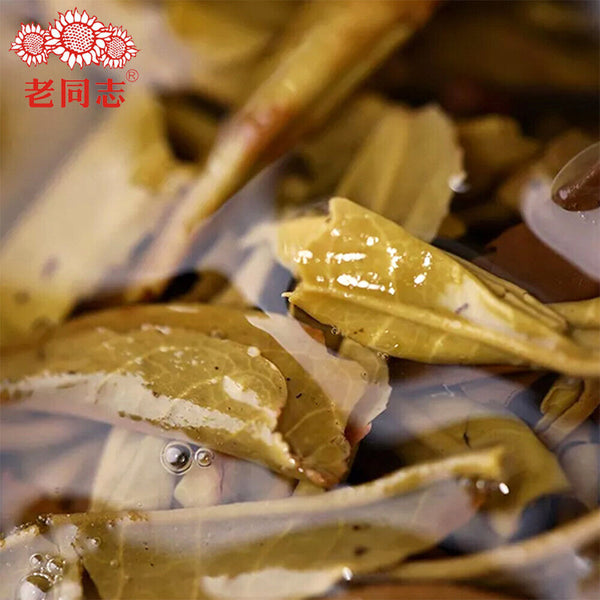 Haiwan Chinese Tea 9968 Batch 181 Shen Puer Tea Brick 250g