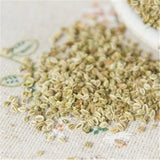 100% natural Cnidium Monnieri seeds herb She Chuang Zi Chinese herbal medicine