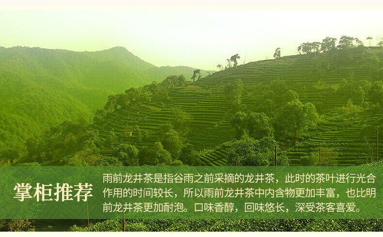 XI HU Yu Qian 3rd Grade Nong Xiang Longjing Long Jing Dragon Well Green Tea 250g