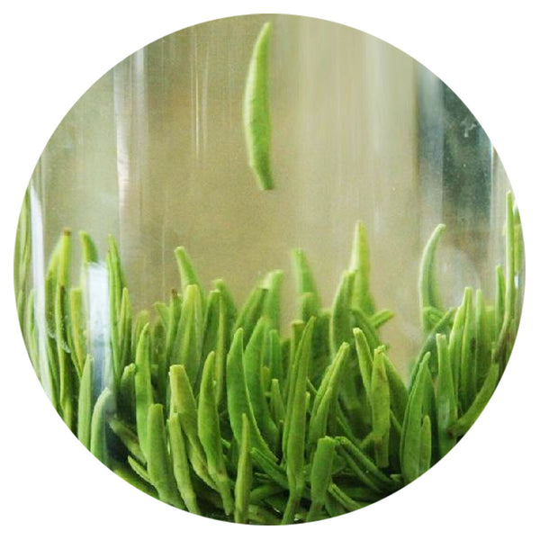 HELLOYOUNG 100g Premium Emei High Mount. Zhuyeqing Spring Bamboo GREEN TEA