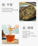 CHINATEA Brand MM Hunan Anhua Golden Flowers Fucha Dark Tea 360g Brick Fu Zhuan