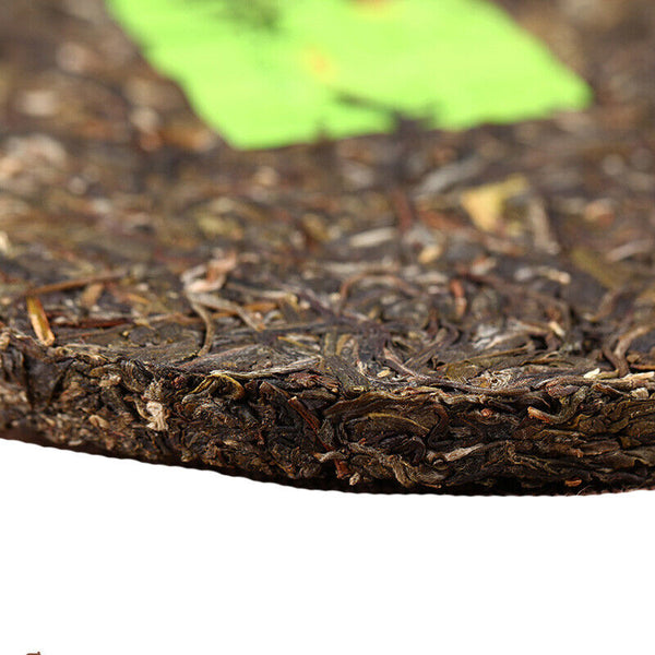 Bang Long Hua Zhu Liang Zi Spring Xiaguan XY Tie Bing Pu-erh Raw Tea 357g
