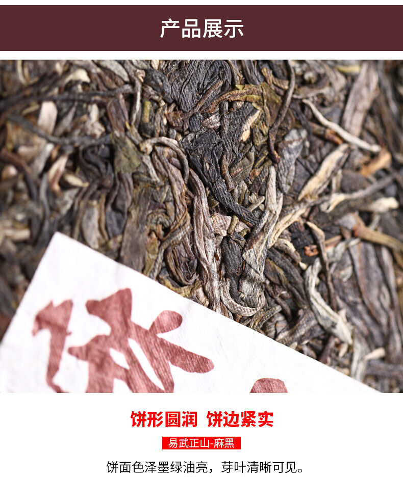 Haiwan Yi Wu Zheng Shan Ma Hei Famous Old Tree Shen Puer Tea Raw Pu'er 500g