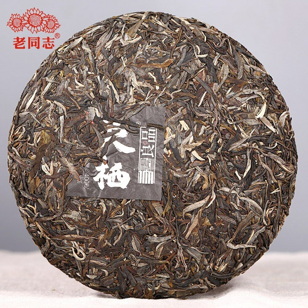 The Gathering of Plant Spirit Top Sheng Puerh Tea 400g Raw Puer Tea Cake Haiwan