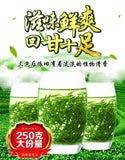 Supreme Xinyang Maojian Tea Mao Jian Fresh Green Tea Slimming Tea 250g Tin