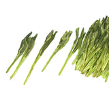 HELLOYOUNG 250g Supreme Huangshan Spring Green Tea Chinese Taiping Houkui Monkey