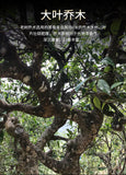 Haiwan Old Tree Tea Puer Tea "Lao Shu Qiao Mu" Pu-erh Ripe Pu Er Brick 250g